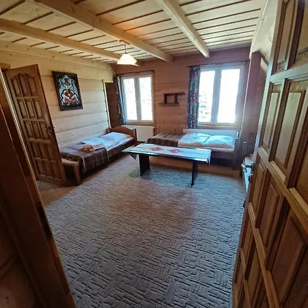 Przy Potoku Apartment Zakopane